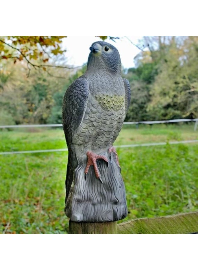 DefenderShield Defenders Falcon, Decoy Bird Scarer, Life-like Colouring - Image 1