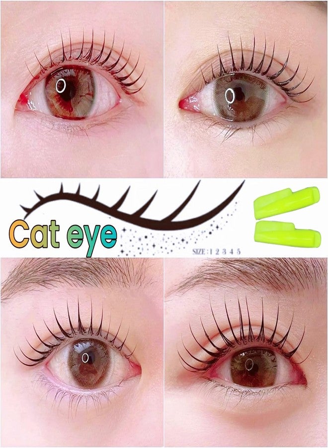 ICONSIAM Lash Lift Shields C Curl 5 Size Lifting Pad, Rapid Eyelash Shield Shiny Perm Rods Make Eyes Natural Curl Flexible Pads Extreme Rod 100 Use Elastic Lami Perming Roller (Galaxy Color) - Image 2