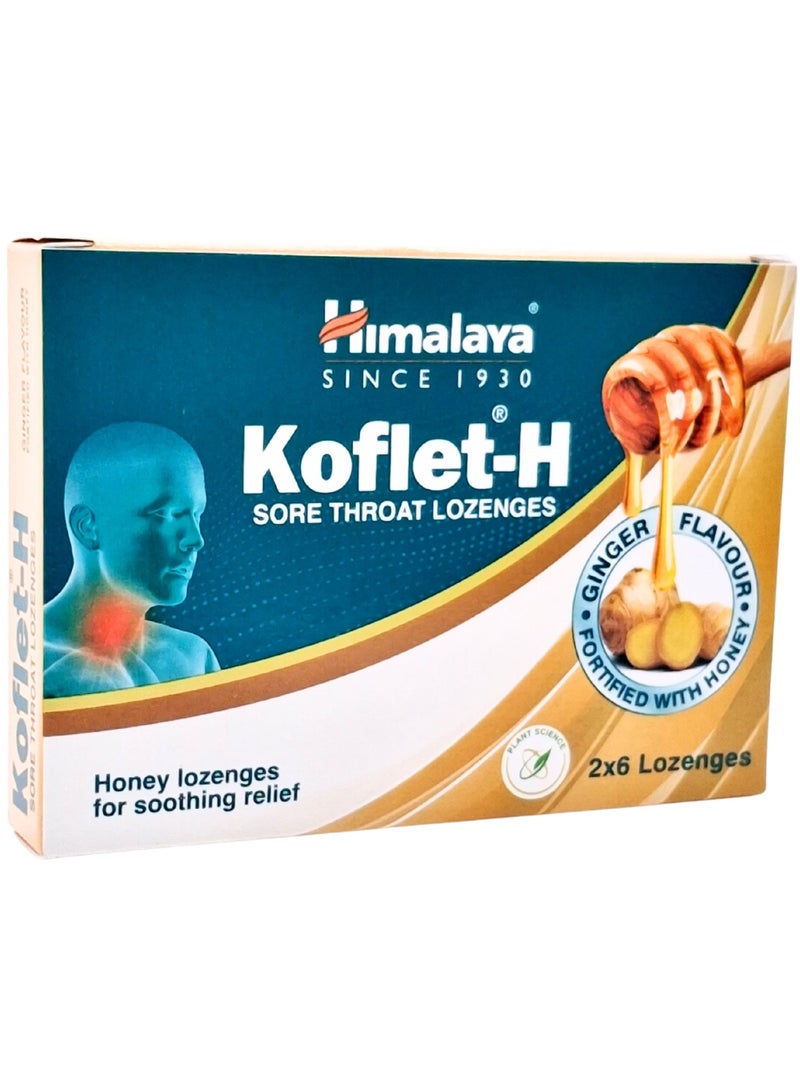 هيمالايا كوفليت - اتش معينات الزنجبيل 12