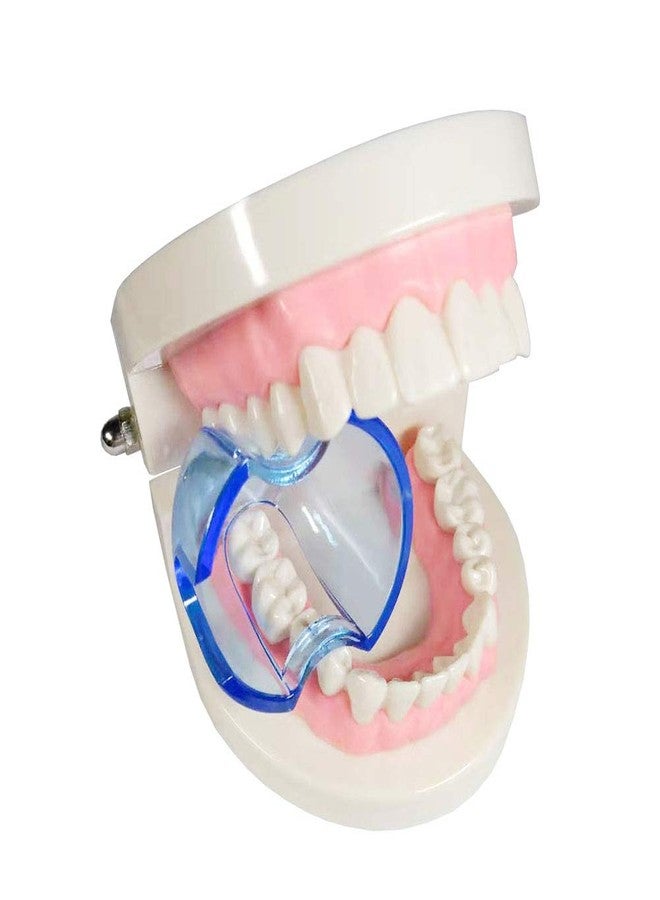 Smiledt Dental Orthodontic Lip Cheek Retractor Expander Mouth Opener Autoclavable for Posterior Teeth (15 Pieces/lot) - Image 2