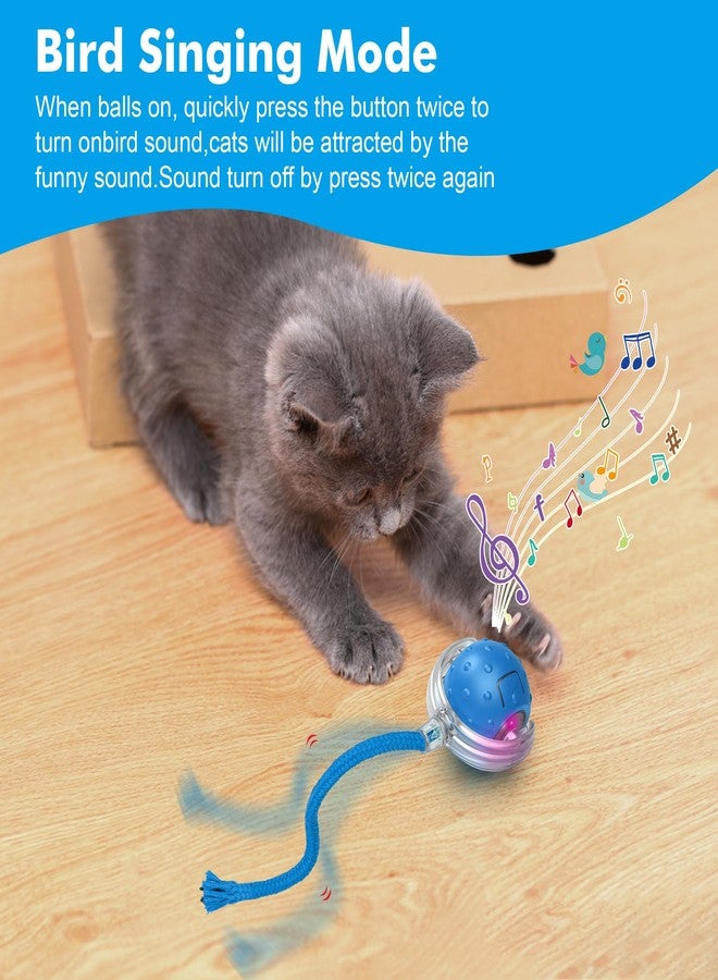 FLERDMAU Cat Toys Ball for Indoor Adult Cats - Interactive Automatic Cat Ball Toy | Fast Rolling & Motion Activated Chirping | Hide and Seek Mouse Catching Game | Stimulates Hunting Instincts (Blue) - Image 4