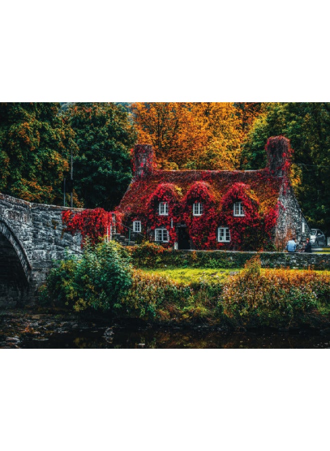 ألغاز مستديرة بألوان قوس قزح مخصصة 500 قطعة، ألغاز معرفية ملونة ممتعة عبر الحدود - اللون: كابينة في الغابة - Image 1