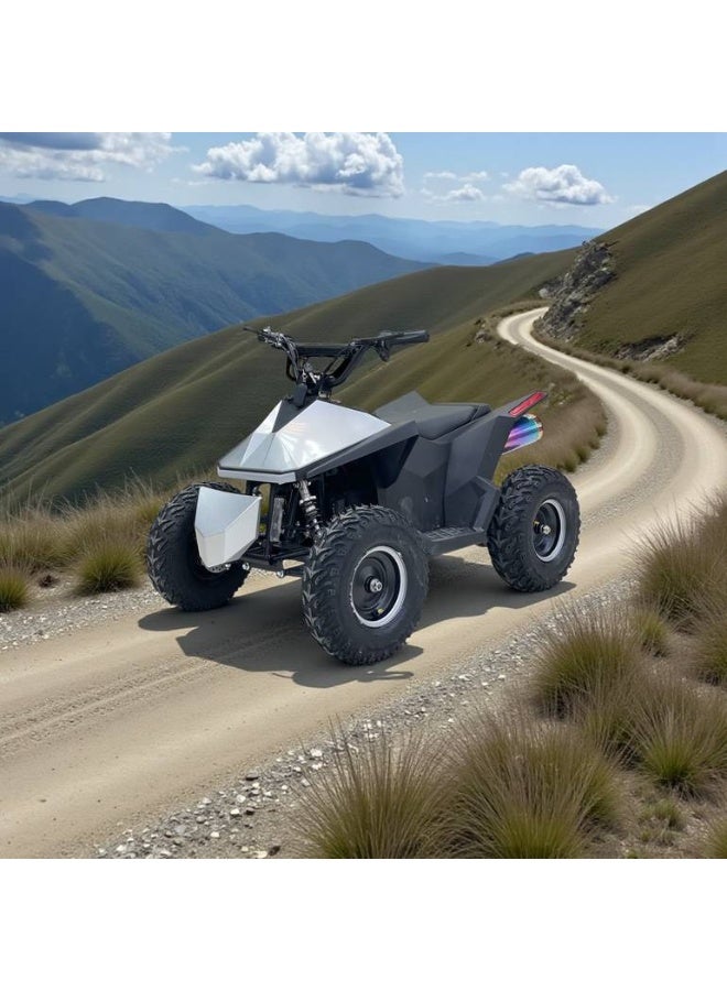 48V electric quad bike - Image 2