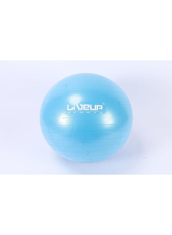 LivePro Anti Burst Ball - Image 2