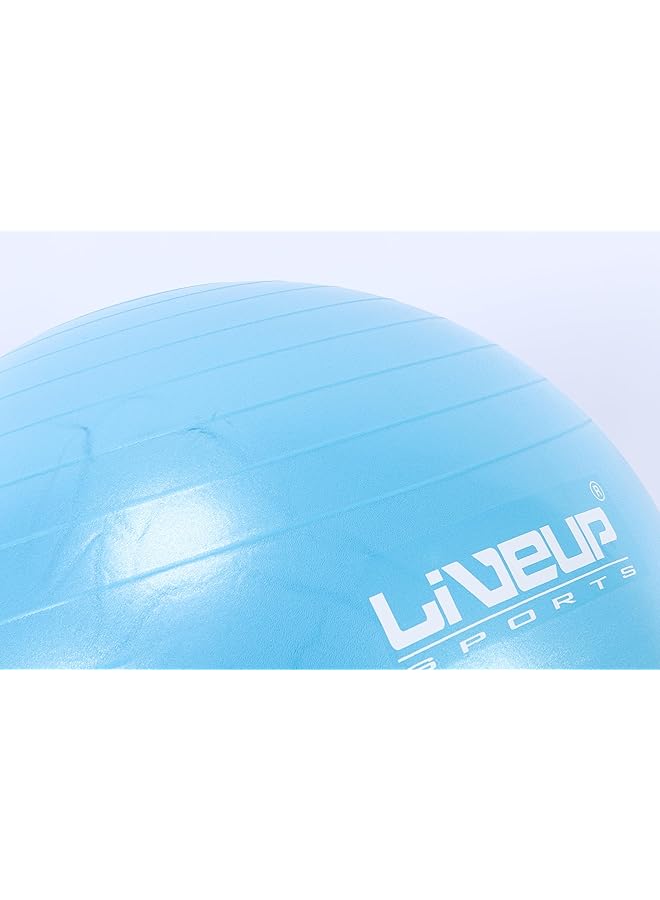 LivePro Anti Burst Ball - Image 4