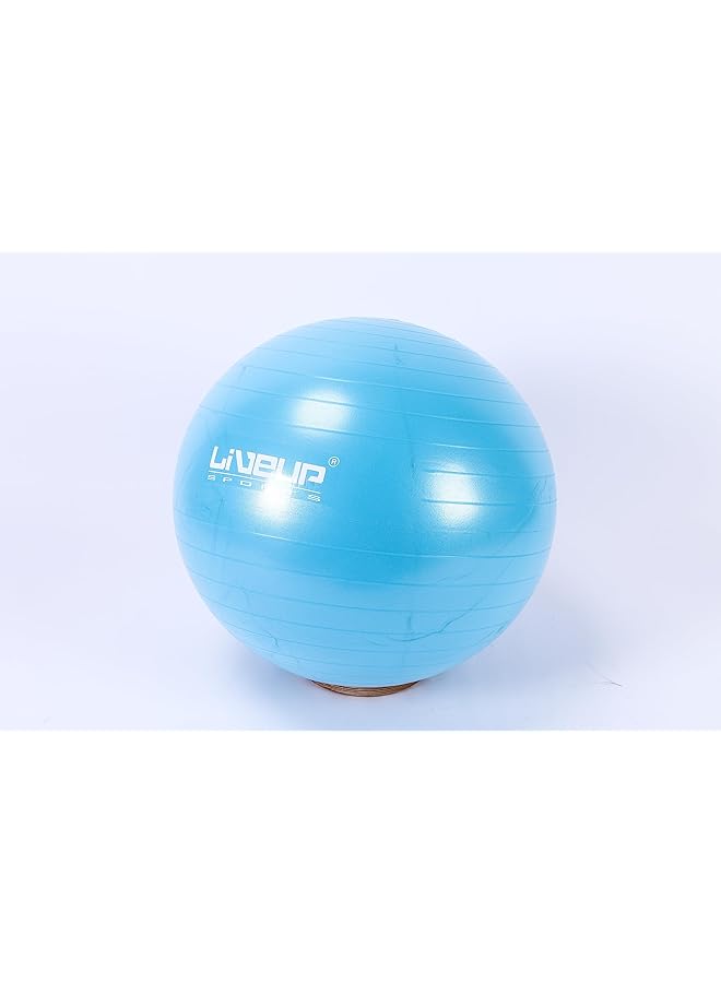 LivePro Anti Burst Ball - Image 3