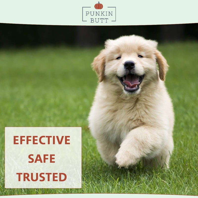 Punkin Butt for Pets Puppy Teething Oil to Stop Chewing and Relieve Discomfort | All Natural, Organic, Safe for Dogs, Chemical-Free (2 oz) - Image 4