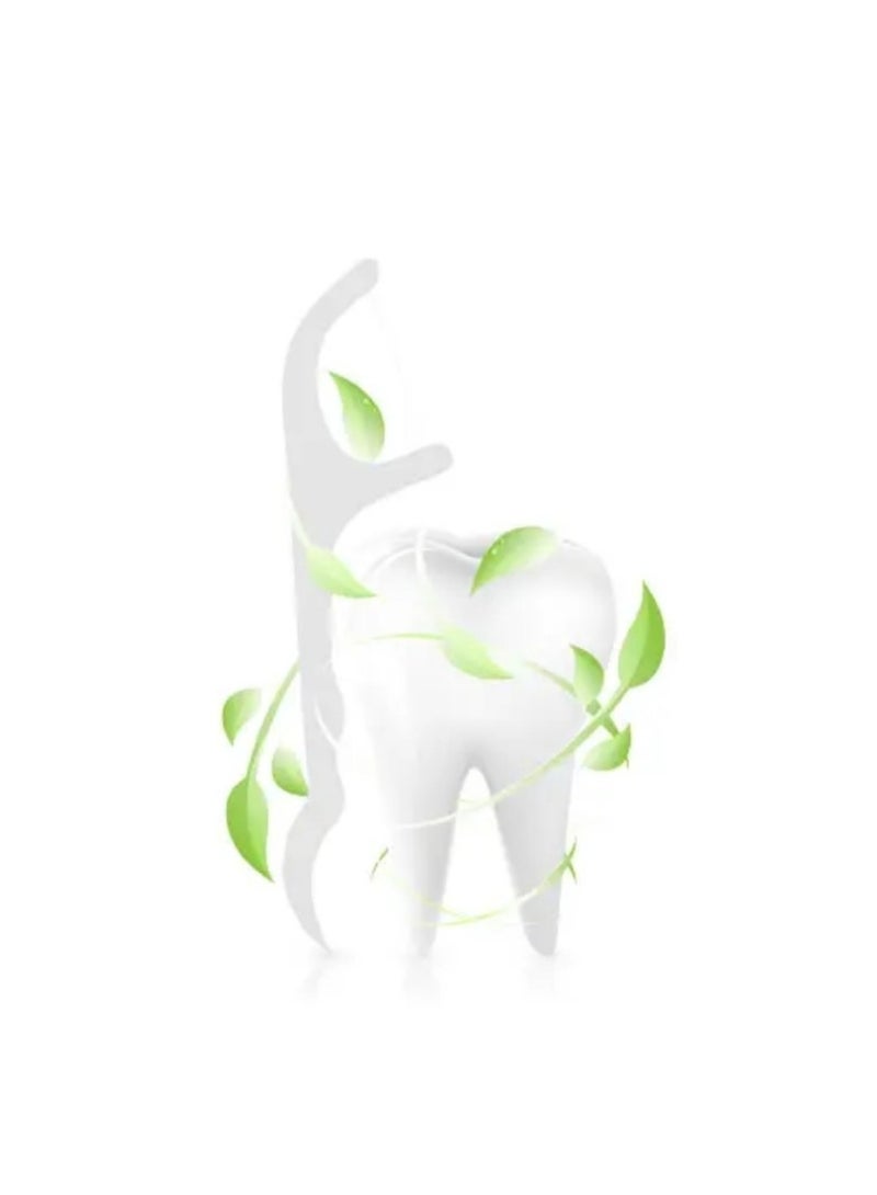 Zi Dental Care Dental Floss Picks Set - 30 Picks/3 BOX (Packaging may vary) - Image 3
