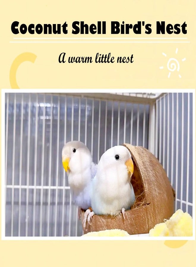 في تربو واي عش ببغاء من قشور جوز الهند الطبيعية من VTurboWay، عبوة من قطعتين، بيت للعصافير، سرير للكناري، لعبة معلقة، عش للتكاثر، مضاد للنقر، مع وسادة دافئة للأقفاص، سرير للطيور للنوم - Image 3