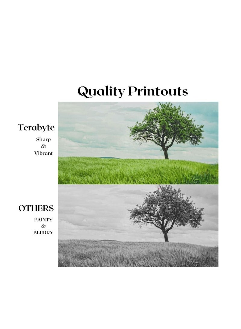 Terabyte درام DR520/3100/3115 - Image 2