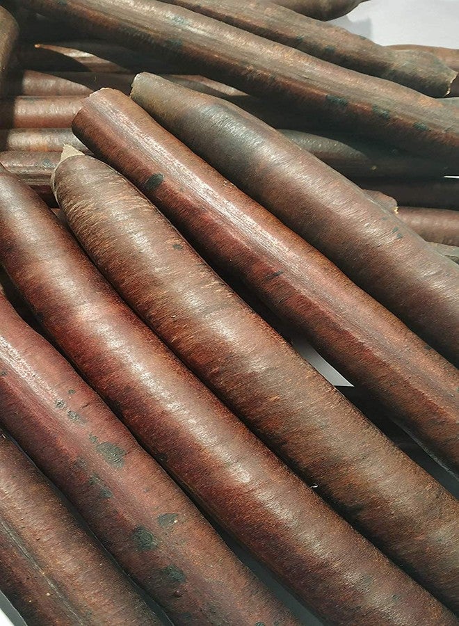 vinarghya - Amaltaas/Indian Laburnum/Purging Fistula/Garmaalo/Girimaal/Kakkemar/Konnai/Baahvaa/Sunaari/Sonaalu/अमालतास - 100g - Image 4