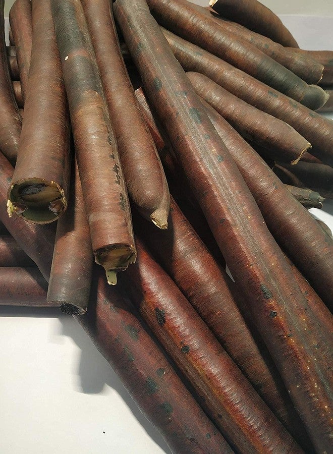 vinarghya - Amaltaas/Indian Laburnum/Purging Fistula/Garmaalo/Girimaal/Kakkemar/Konnai/Baahvaa/Sunaari/Sonaalu/अमालतास - 100g - Image 2