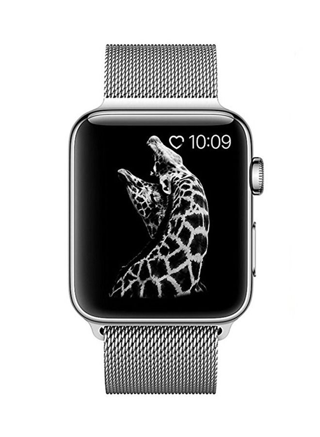 Replacement Band For Apple Watch Series 5/6/7 42mm 44mm 45mm Silver - Image 2