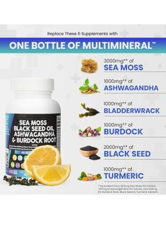 Clean Nutraceuticals Sea Moss，lrish Sea Moss 3000mg，Black Seed Oil 2000 Mg，Ashwagandha 1000Mg，Bladderwrack 1000Mg，Burdock Root 1000mg Vitamin C D3 Elderberry Acv Black Pepper 60 Count - pzsku/Z6BB76A8F16138D85A6FBZ/45/_/1722164086/f2e0caa6-e47d-4cce-ab73-d95247b2ec7c