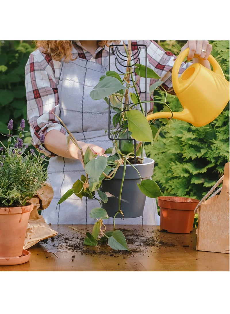 Barakah 2 قطع تعريشة نبات، تعريشة حديقة معدنية لدعم النباتات الداخلية للأصص، دعائم معدنية لكروم الورد، النباتات المتسلقة، الزهور، زينة الفناء الخارجي والحديقة 36x10 سم - Image 2