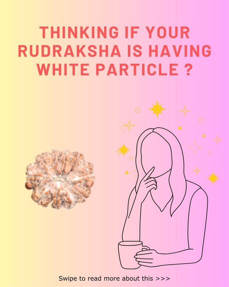 PUSHKARA Store مُكهي طبيعي 1 رُدراكسه معتمد - نيبال | بني | PJTL1M01 - فوائد فلكية - قلائد للجنسين - طاقة إيجابية للرجال والنساء - Image 5