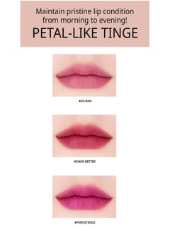 3ce 3 Concept Eyes Stylenanda Velvet Lip Tint (2017 New) 10 colors avail (Taupe)  - Image 2