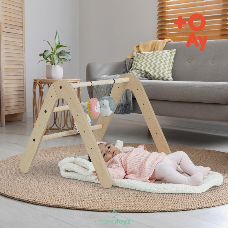Gimy Baby Gym and Bookshlef - Activity Area and Bookcase