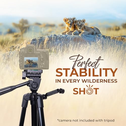 Digitek (DTR-425 LW) Portable Tripod Stand with Smartphone Holder, 4.26ft Height, Pan & Multipurpose Quick Release Head, Rubberised Legs, 3kg Load Capacity, Ideal for DSLR Camera & Mobile Photography - Image 3