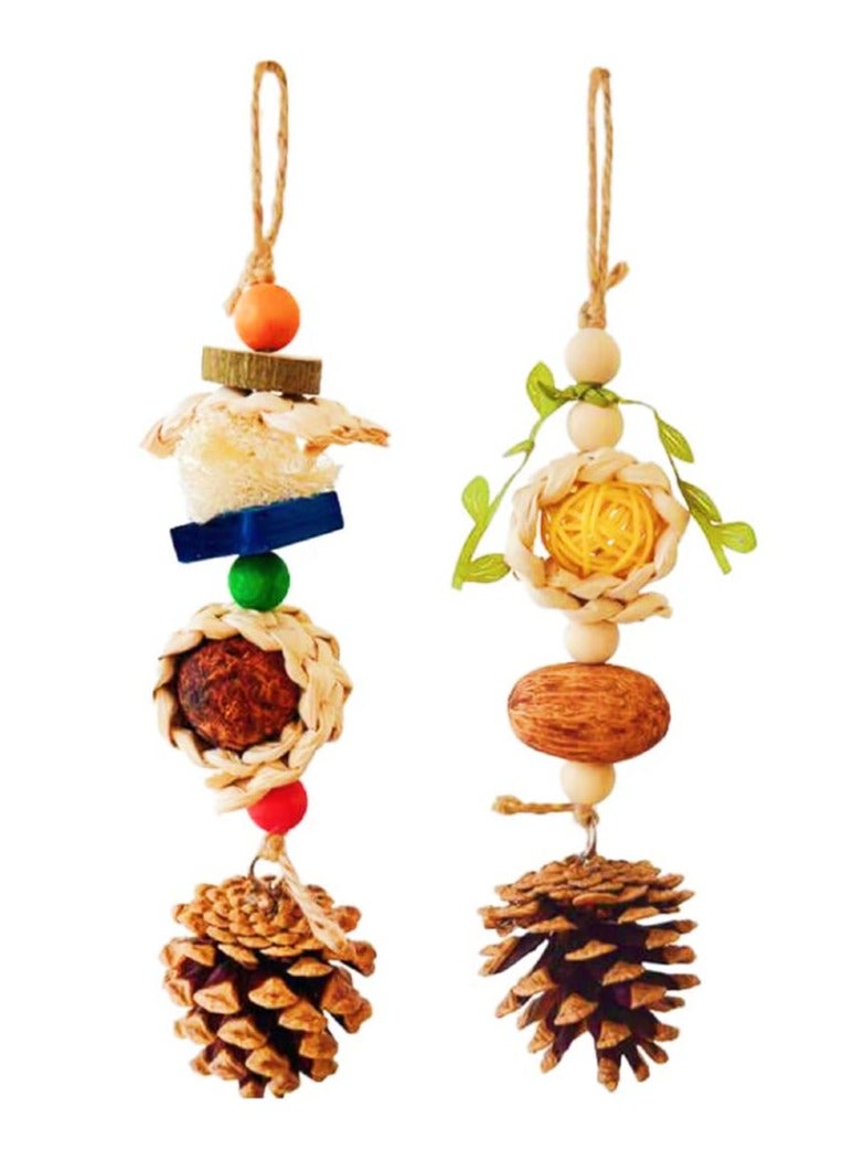 Parrot Toys,  Bird Chewing Foraging Toys with Natural Pine Cones for Bird Cage, Hanging Bird Toys for Parakeets Cockatiel African Grey Small Parrots Lovebirds - Image 1