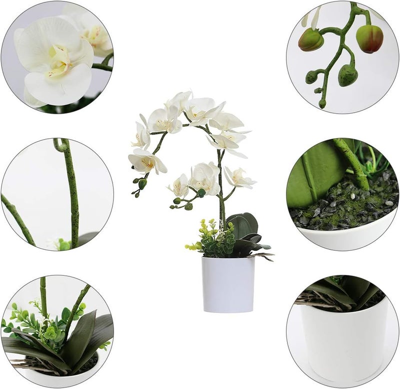 Omygarden White Orchid Artificial Flowers in Pot, Fake Plastic Orchid Flowers, Decoration for Home Office Wedding(White 2 Bouquets) - Image 2