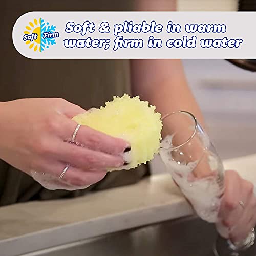 Scrub Daddy - The Original Scrub Daddy - Scratch-Free Multipurpose Dish Sponge - BPA Free & Made with Polymer Foam - Stain, Mold & Odor Resistant Kitchen Sponge (1 Count) - Image 4