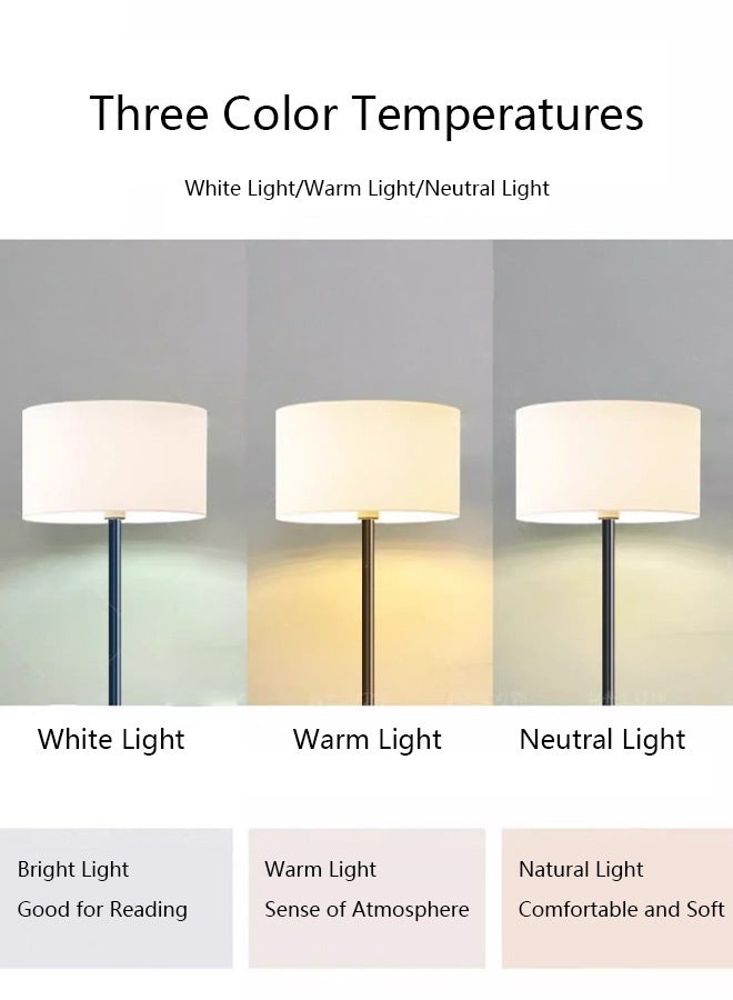 Bolivia's LED Floor Lamp with 3 Color Temperatures Bulb, Vintage Stand Light with Metal Tray, for Living Room Bedroom Office - Black - Image 2