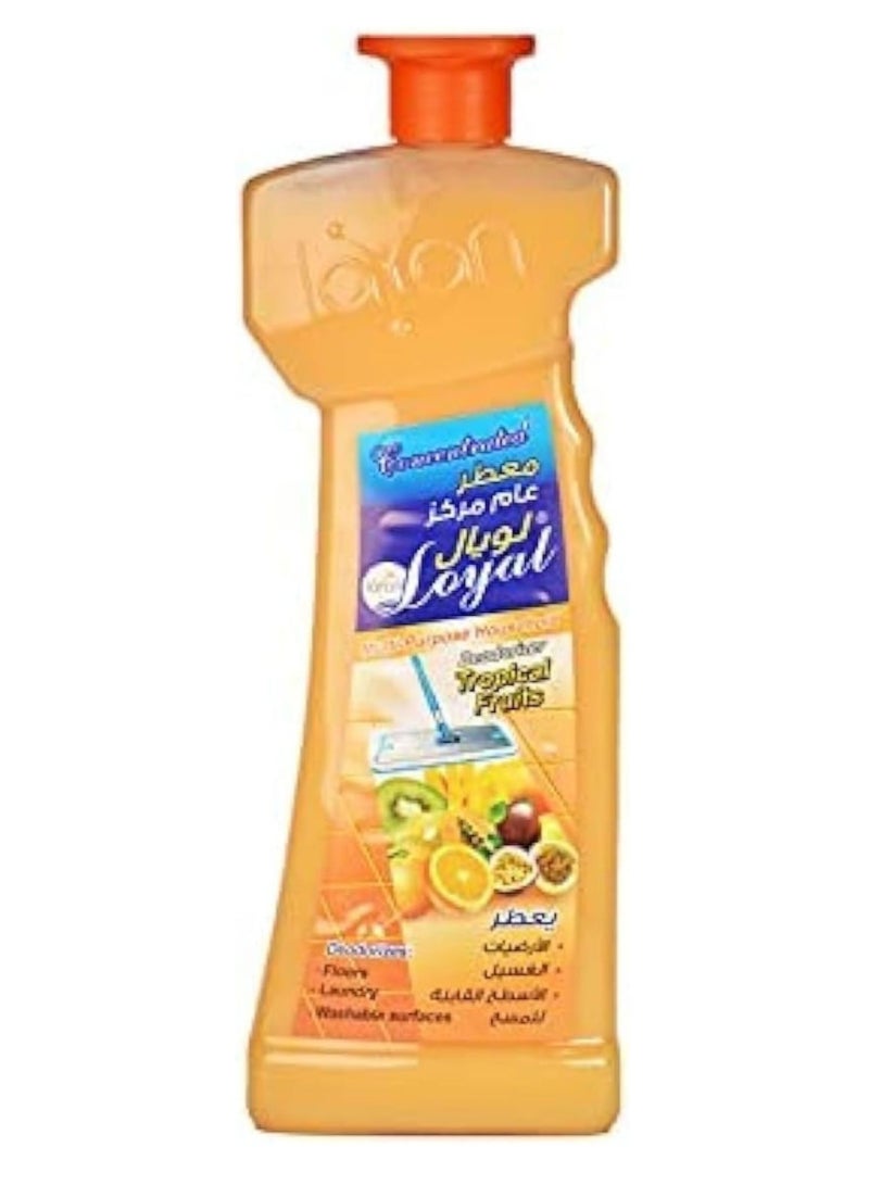 Loyal concentrated multi-purpose deodorizer with tropical fruits scent - 700 ml - Image 1