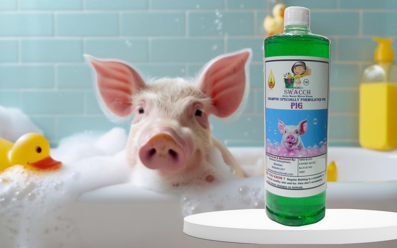 Swacch Shampoo Specially Formulated for Pig (1 Litre) Neem Alovera - Image 2
