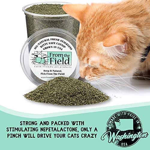 from The Field | Fine Ground Stalkless Catnip | Premium USA-Grown Catnip for Toys & Playtime | Fresh, Potent, Non-Toxic, Eco-Friendly | Safe for Kittens & Cats | Resealable 1 oz Can - Image 2