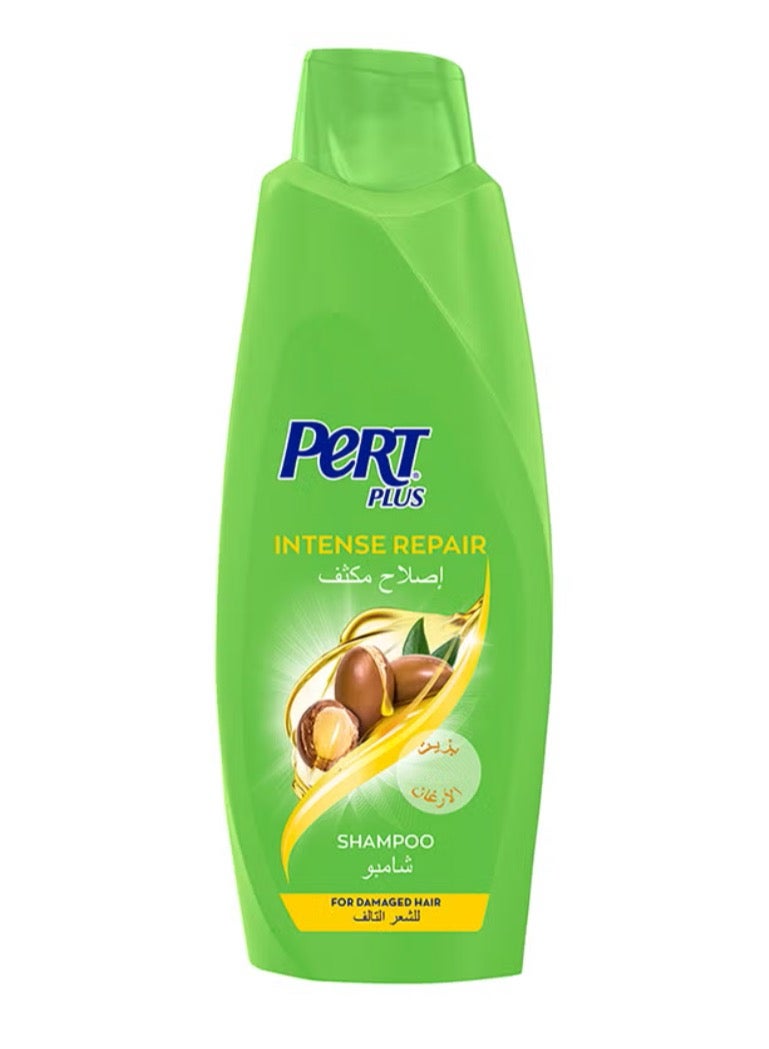 برت بلاس شامبو الإصلاح المكثف بمستخلصات الزيت - Image 1