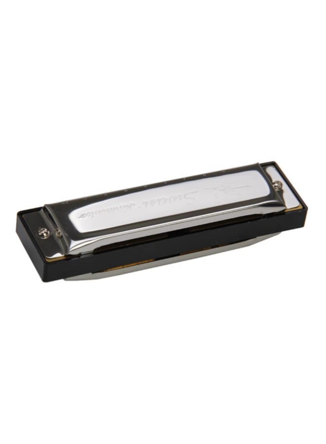 Swan Harmonica 10 Holes – Clear Sound Easy to Play with Protective Case - Image 4