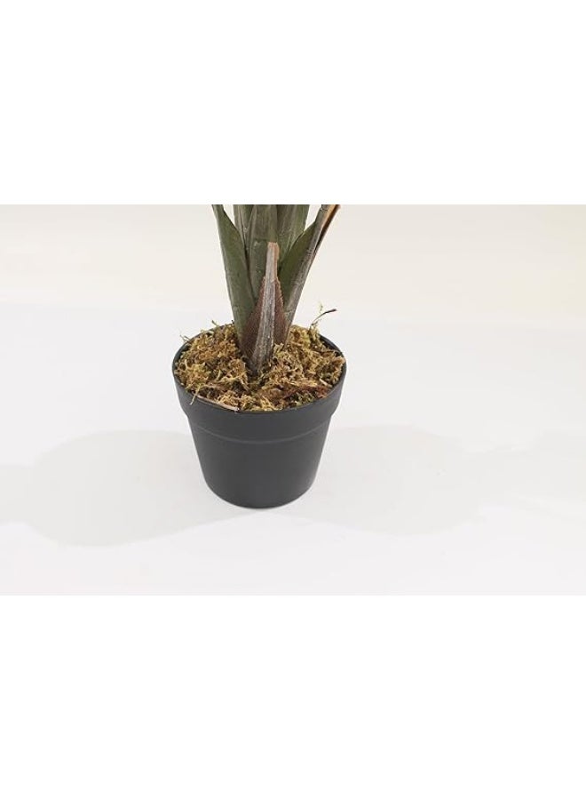 MARCOLO Artificial Monstera Tree in Black Pot, Green, Realistic Tropical Leaves, Indoor Home Decor (80cm) - Image 5