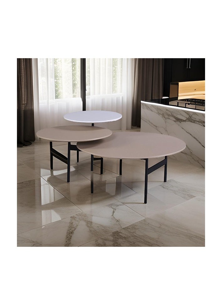 Neo Front Modern Powder Coated MDF Coffee Table with Metal Legs  XPFN-NFC05-P057 125 * 85 * 45 cm - pzsku/Z6BC51507A898A2BE9CB8Z/45/_/1738588590/c9d2935e-9d16-4226-a181-676a5fb4ecd4