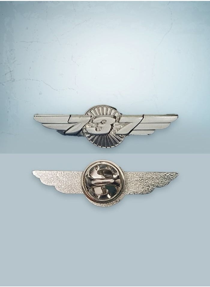 Fighter Gifts 737 Silver Wings Pin 