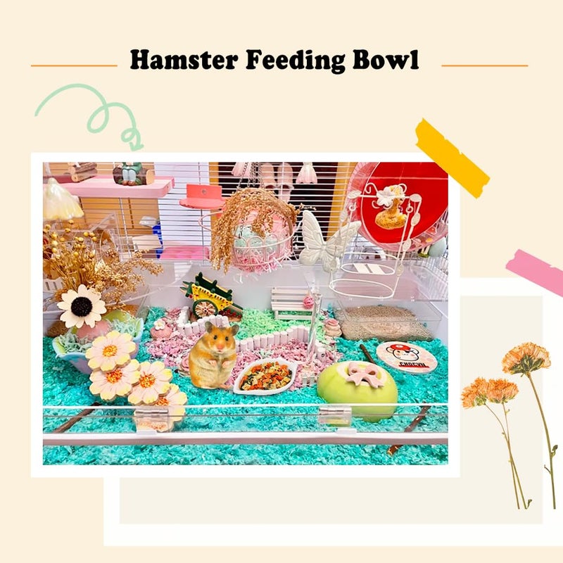 DQITJ 4 Pack Hamster Ceramic Food Bowl, Small Animals Chew-Resistant Food and Water Dish for Hamster Gerbil Hedgehog Rat Rodent (Colors May Vary) - Image 3