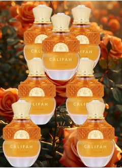 7 Pieces Tonka And Amber Perfume 100ML - pzsku/Z6BC681753F44B80C1D17Z/45/_/1716229403/a675a3d1-248c-4b84-a474-bb83c9c4ed17