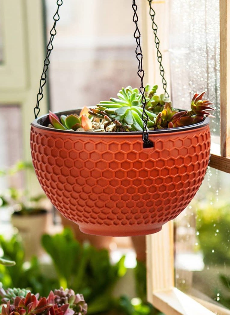 Excefore Set of 3 Hanging Planters for Indoor Outdoor Plants, Includes 6, 8, and 10 Inch Plant Holders with Drainage Holes and Removable Saucers, Enhance Your Garden and Home Decor  - Image 5