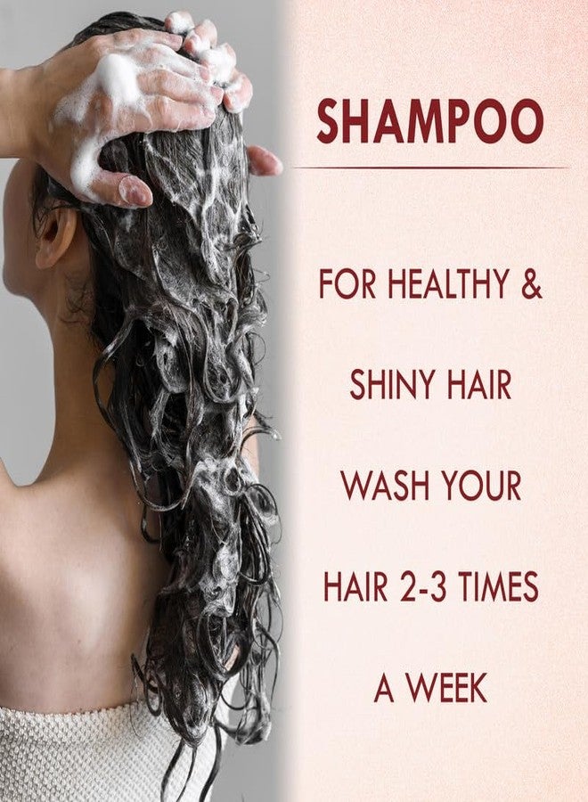 Sabates Onion Hair Shampoo For Strong, Smooth and Silky|Controlling Dandruff & Hair fall | Suitable for All Hair Types Gentle enough for daily use 100% Natural Extracts - Image 5