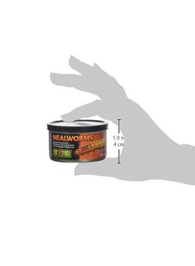 Exo Terra Specialty Reptile Food, Canned Mealworms for Reptiles, PT1958 - Image 2