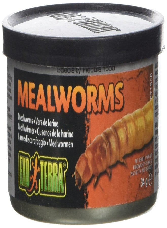 Exo Terra Specialty Reptile Food, Canned Mealworms for Reptiles, PT1958 - Image 1