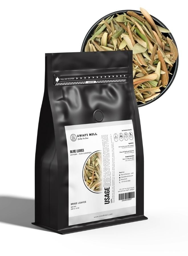 AWAFI MILL Olive Leaves (Olea europaea) | Dried Whole Leaves for Herbal Tea, Brines and Mediterranean Infusions | Clean Green, Lightly Bitter Herbal Note - 100 g | 3.5 Oz - Image 1