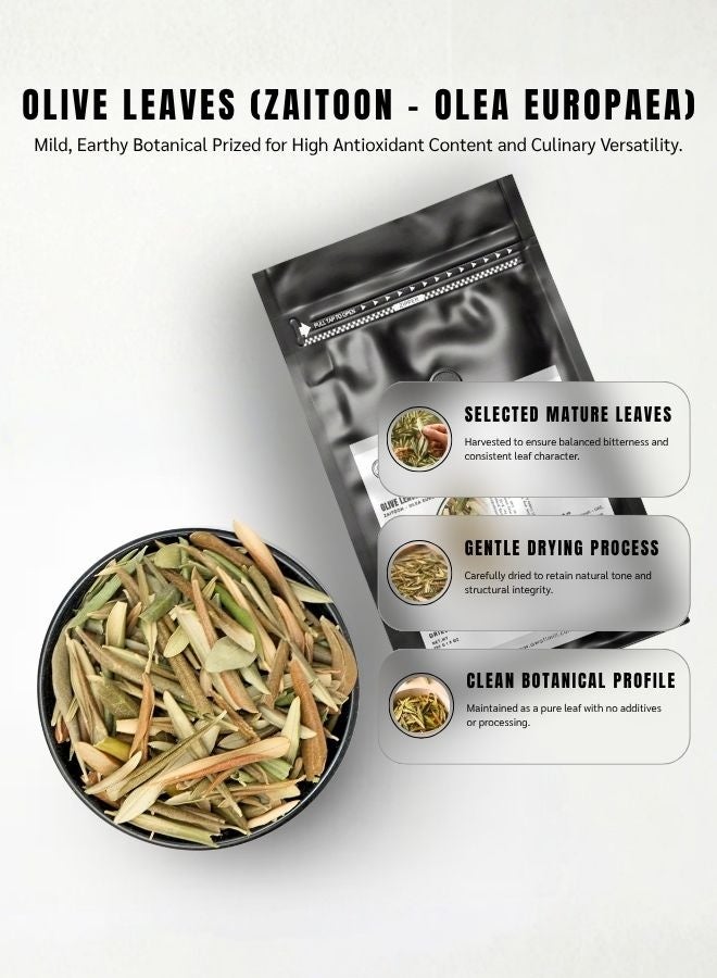 AWAFI MILL Olive Leaves (Olea europaea) | Dried Whole Leaves for Herbal Tea, Brines and Mediterranean Infusions | Clean Green, Lightly Bitter Herbal Note - 100 g | 3.5 Oz - Image 5
