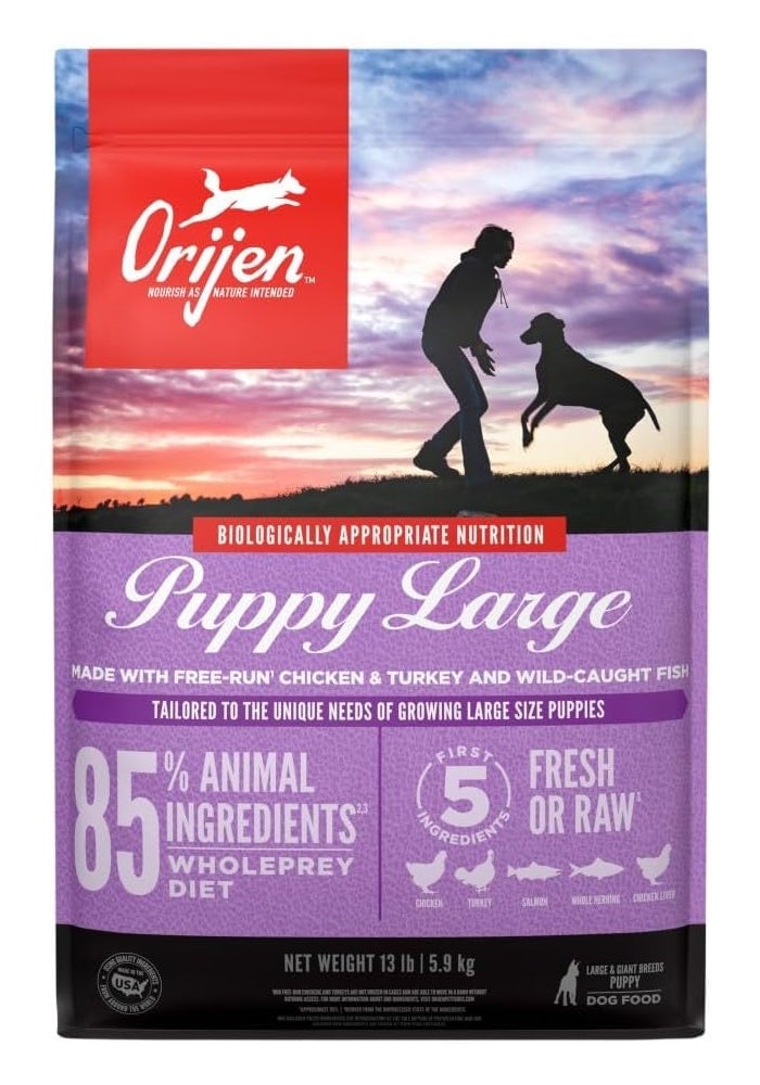 Orijen Puppy Large Breed Dog Food - 6kg - Image 1