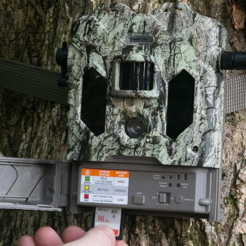 Bushnell Cellucore Live Cellular Trail Camera, Dual SIM Connectivity Cellular Game Camera with Live Streaming Video and Images, Works with OnX Hunt - Image 3