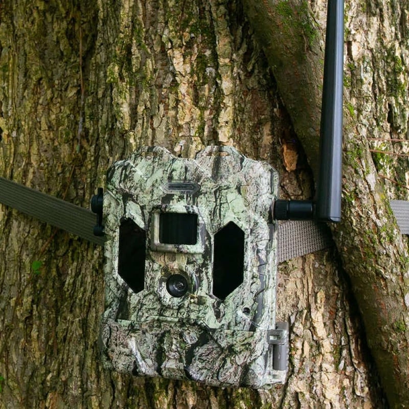 Bushnell Cellucore Live Cellular Trail Camera, Dual SIM Connectivity Cellular Game Camera with Live Streaming Video and Images, Works with OnX Hunt - Image 2