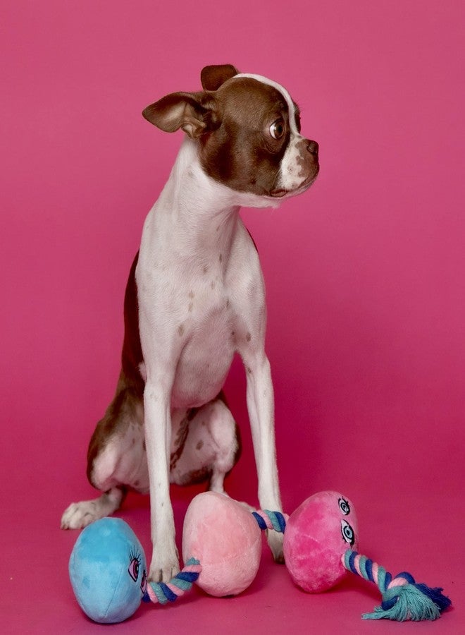 RASCAL Scruffy Tug Buttons - Dog Toy - All Breeds - Image 4