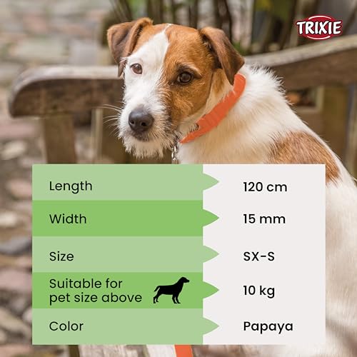 Trixie Premium Anti Slip Padded Handle Long Dog Leash Durable,Comfortable and High Strength Dog Training Leash for 10 kg or Less 3.93 ft./15 mm (XS-S, Papaya) - Image 2