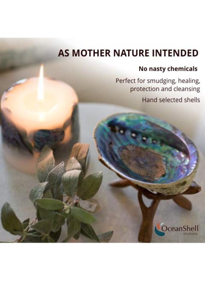Generic - Ocean Shell Studios 5-6 Inches Premium Natural Abalone P Ua Shell With Wooden Stand For Smudging Cleansing Home Meditation Shell Crafts Incense Holder Home D Cor 100 Natural Sustainable. - Image 1