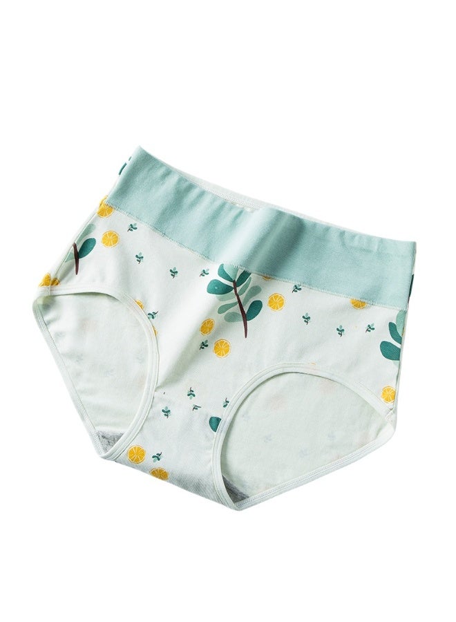 KUYING New Comfortable Skin friendly Breathable Underwear Set of 4  - Image 2